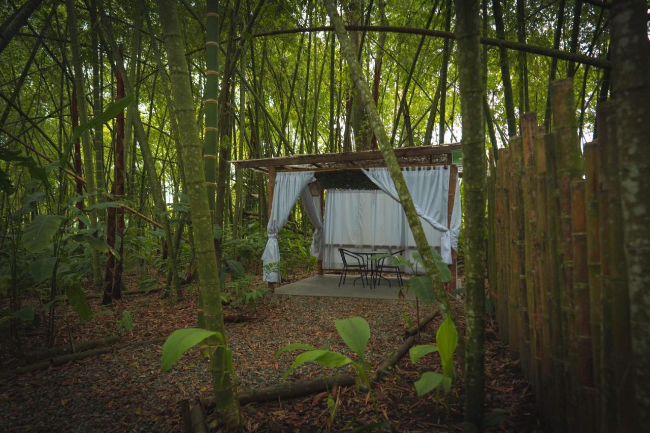 Amanatu Ecolodge & Spa Quimbaya Εξωτερικό φωτογραφία