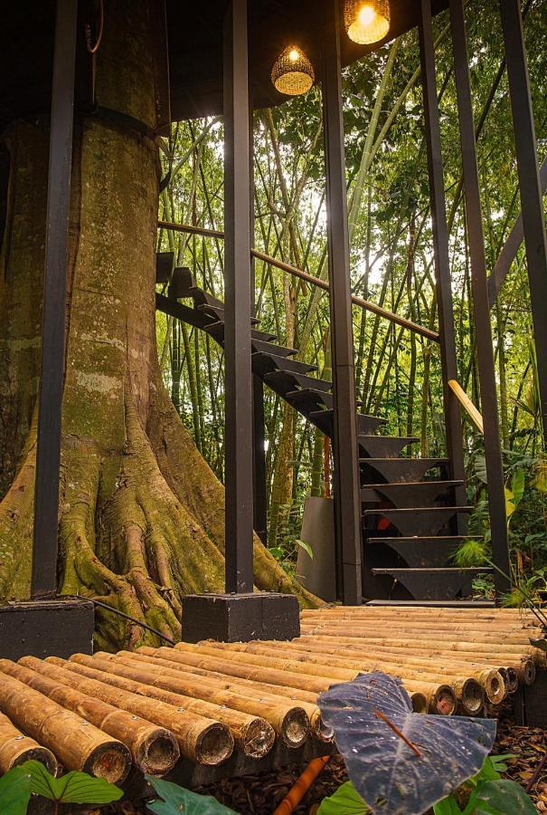 Amanatu Ecolodge & Spa Quimbaya Εξωτερικό φωτογραφία